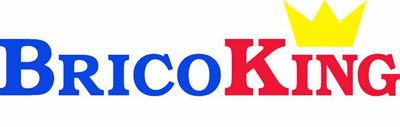 bricoking-logo-ok.jpg